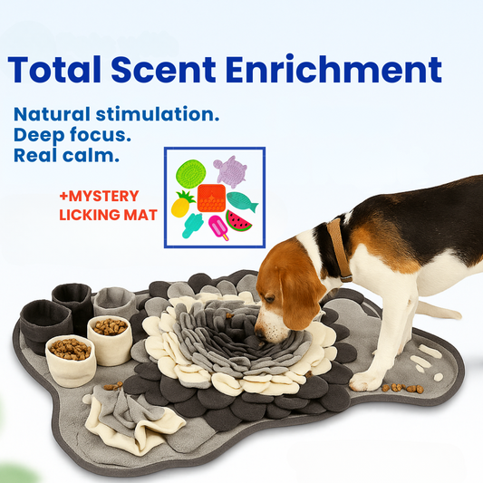 Snuffle Mat® Mental Stimulation & Anxiety Relief
